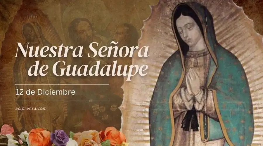 Dónde está la verdadera imagen de la Virgen de Guadalupe?