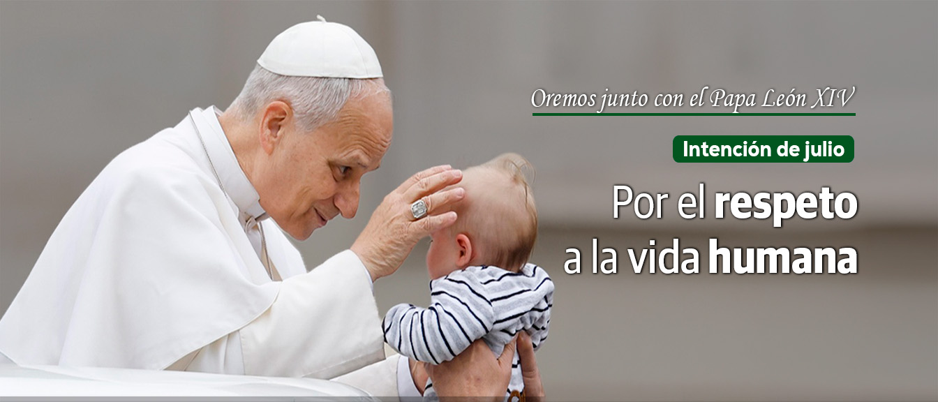Sin título-1